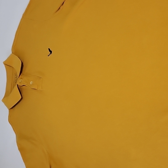 American Eagle Outfitter Polo|Men|Size Large|Mustard| - Picture 3 of 11
